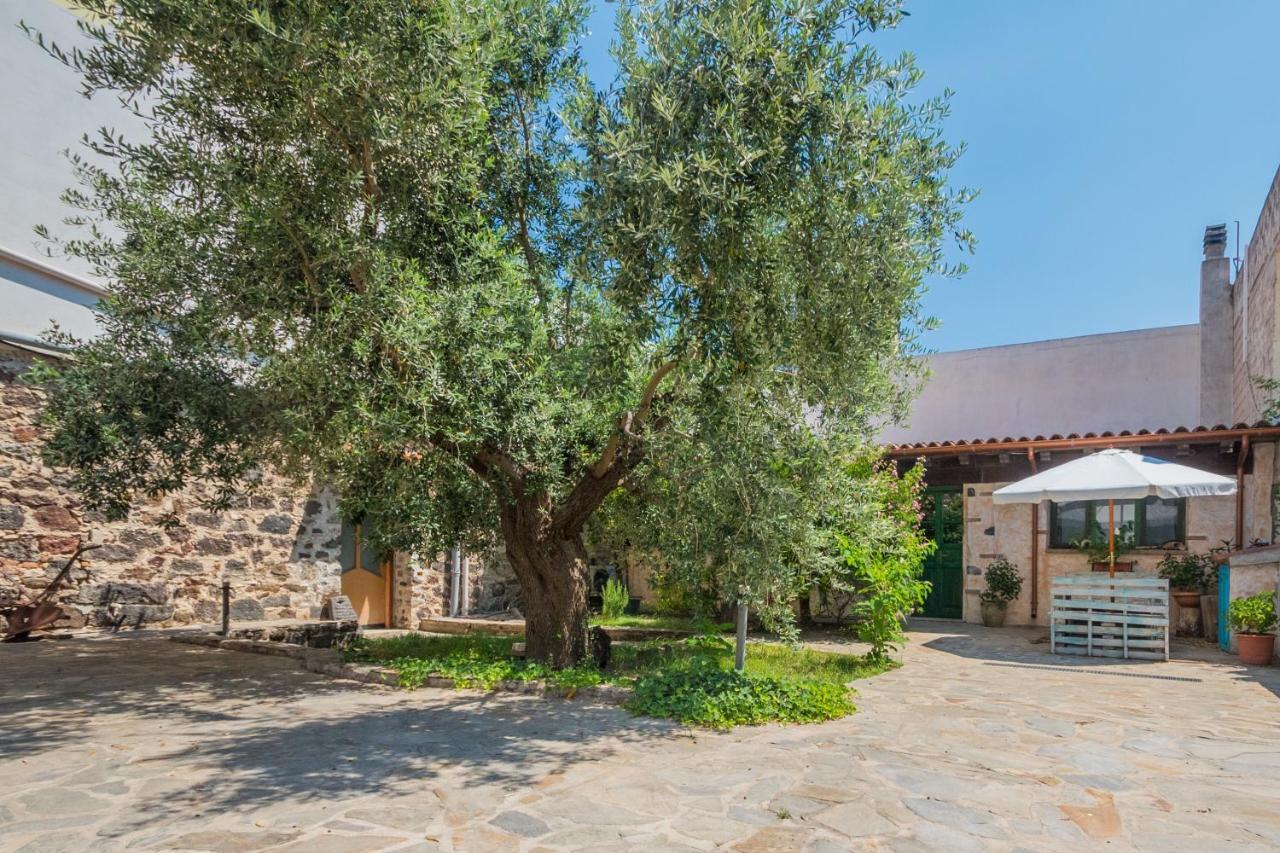 Apartmán Sa Dommo De Sa Pietate Orosei Exteriér fotografie